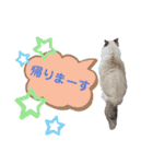 ラグとナン（個別スタンプ：10）