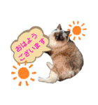ラグとナン（個別スタンプ：15）