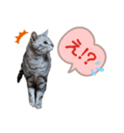 ラグとナン（個別スタンプ：18）