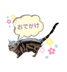 ラグとナン（個別スタンプ：19）