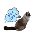 ラグとナン（個別スタンプ：20）