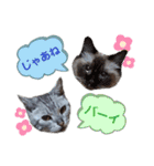 ラグとナン（個別スタンプ：22）