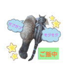 ラグとナン（個別スタンプ：23）