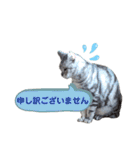 ラグとナン（個別スタンプ：25）