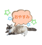 ラグとナン（個別スタンプ：32）