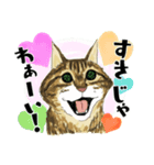 Lucky Star 第1.5弾（個別スタンプ：4）