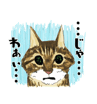 Lucky Star 第1.5弾（個別スタンプ：5）