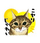 Lucky Star 第1.5弾（個別スタンプ：8）