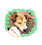お山のみんな達。（個別スタンプ：3）