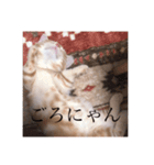 えらそうなおもち（個別スタンプ：7）
