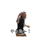 使いづらいスタンプ(実写版)（個別スタンプ：7）