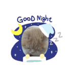 猫飼いさんのスタンプ（個別スタンプ：4）