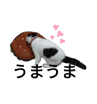猫飼いさんのスタンプ（個別スタンプ：25）