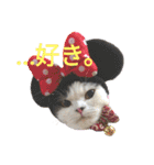 猫飼いさんのスタンプ（個別スタンプ：28）