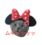 猫飼いさんのスタンプ（個別スタンプ：31）