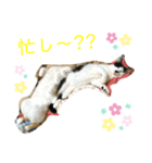 トラチワちゃん♡☆（個別スタンプ：3）
