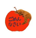 今日のぷーちょ（個別スタンプ：3）