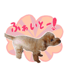 今日のぷーちょ（個別スタンプ：19）