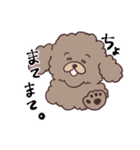 かわいい三姉妹とトイプードル（個別スタンプ：11）