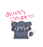 かわいい三姉妹とトイプードル（個別スタンプ：18）