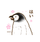 ☆オウサマペンギンコウテイペンギン☆（個別スタンプ：4）