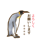 ☆オウサマペンギンコウテイペンギン☆（個別スタンプ：6）