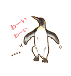 ☆オウサマペンギンコウテイペンギン☆（個別スタンプ：9）