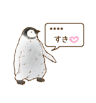 ☆オウサマペンギンコウテイペンギン☆（個別スタンプ：15）