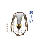 ☆オウサマペンギンコウテイペンギン☆（個別スタンプ：28）