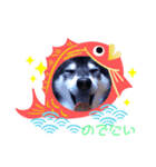 七五三の空。。（個別スタンプ：5）