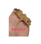 ゆかいなアグルムくんスタンプ（個別スタンプ：3）