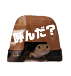 ゆかいなアグルムくんスタンプ（個別スタンプ：11）