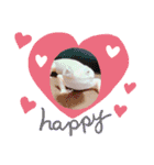 あねらくん（個別スタンプ：11）