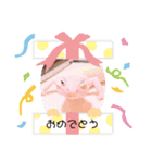 あねらくん（個別スタンプ：13）