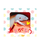 あねらくん（個別スタンプ：15）
