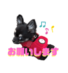 ゆきちとマロンとさくら（個別スタンプ：10）