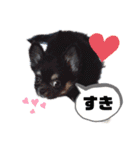 ゆきちとマロンとさくら（個別スタンプ：11）