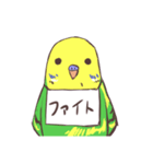 日常二羽インコ（個別スタンプ：2）