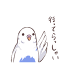 日常二羽インコ（個別スタンプ：3）