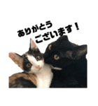 ルカクとムロ（個別スタンプ：1）