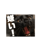 ルカクとムロ（個別スタンプ：5）