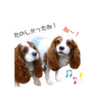 cavalier 玲音 紋次郎 玲紋（個別スタンプ：15）