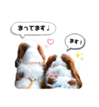 cavalier 玲音 紋次郎 玲紋（個別スタンプ：18）