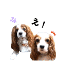 cavalier 玲音 紋次郎 玲紋（個別スタンプ：25）