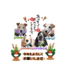 ひー様♡大好き♡（個別スタンプ：1）