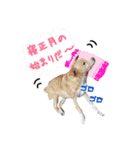 ひー様♡大好き♡（個別スタンプ：6）