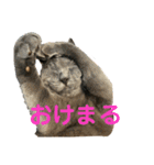 うにpart3（個別スタンプ：1）