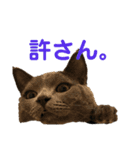 うにpart3（個別スタンプ：16）