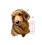 Kawaiiaiken！！！（個別スタンプ：1）
