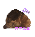 Kawaiiaiken！！！（個別スタンプ：3）